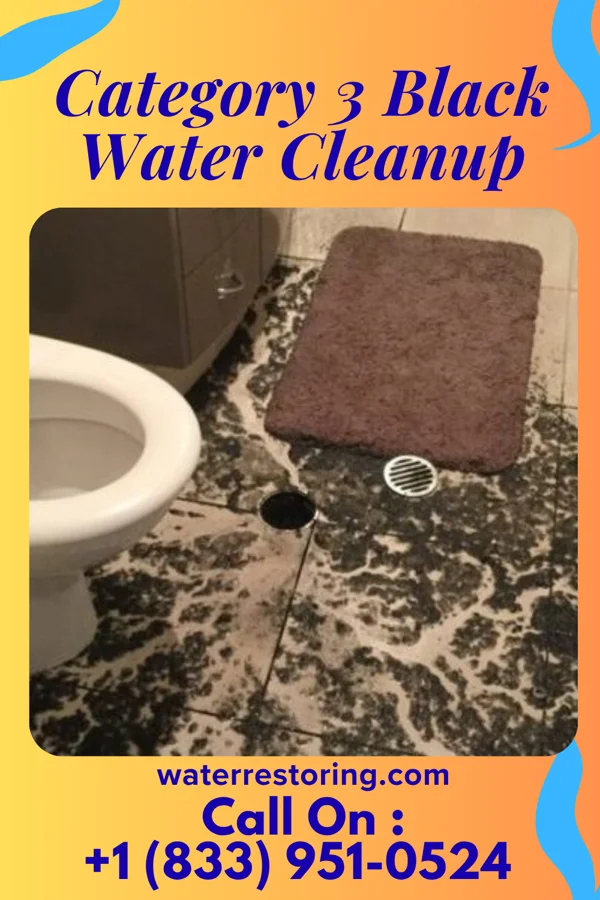 Category 3 Black Water Cleanup in Woodinville, WA