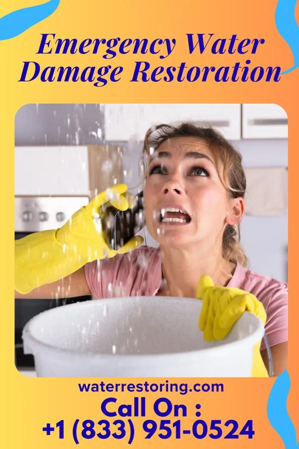 Emergency Water Damage Restoration in Woodinville, WA