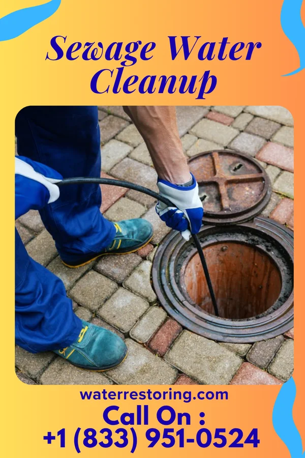 Sewage Water Cleanup in Woodinville, WA